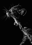 2022-12-29/884a7081594e1a911481e0ca79106cc1_7b35be8b104e7d29abdfc4884e06f9c0