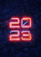 2023-01-01/cd0b31c114ee702c8cc6dcdd72a2e1c0_9a8c8cfc0d0aecddc1897164345447e3