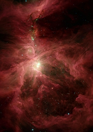 collection-preview-1