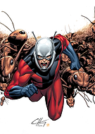 collection-preview-3