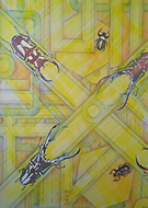 2023-01-03/ed40bb246984aab254000ed82f5cd1c4_e308cca838be919a34d84eef916bb48e