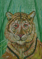 2023-01-04/26ba5b2e6a1f8c9d11414514945383c5_2028fe48ebcf70ed24209b6277e04d2d