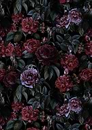 2023-01-04/bc344c4e6e2ab4a70e6f6e4c92d3d5a1_e158951ff7dc397f4087fdfca8d60035