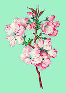 2023-01-05/5f7cb3f14a10de565f0107f0e0087bc3_47adae34b79d11f8b4f3145f7331985e