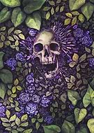 2023-01-06/5a8eabc66a6b75fc685271d4dbdc307b_5279ae4d6bcde80e862b7199b48a0bb5