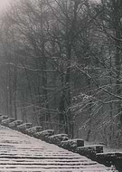 2023-01-06/864ef35fb74eda156feb31a9bc0fbe9f_130be0c666e96c539b40806acd3edc79