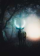 2023-01-08/6e50713e5585dc777b5a20c45b818e37_ffbea9b5786d1d63fea643edfd2f037e