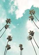 2023-01-09/cd9c9a078621403ee9bfd3aac98ed539_3ae9638d8f30824bc5c0ec7366dfd1d2