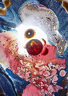 collection-preview-3