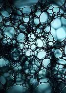 collection-preview-0