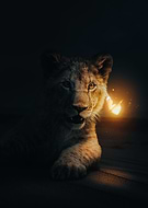 2023-01-11/c7383f51a121b40f0efd918e0adb525b_2225f5d65caa79d81d47d156ea995f28