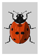 2023-01-12/65a4e59edd86c0ccf2596bd9f2f81d14_d7eb5614fdf26e816cd3b8a6265ed3ac