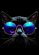 2023-01-14/7b0a7628bb2400c20e2427cda14ca7cc_ff2be78957b1a38e9fda482fce6f73f3