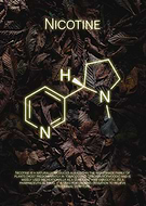 2023-01-17/6603a77f758aaee44532e2624f50edbf_994b760cc08bd2c30043bdd911b2a26a