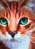 2023-01-20/c0a4765d4d4c6554a1d47af366183823_944bdd233544222dc3cc2f658dba693f