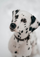 2023-01-23/2cc824b90496b6efabedc593500ee4e0_53738ff08a35eeecc47b8f0621fbf9af