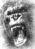 2023-01-23/ae9ed41facafb2f9fb476472fdb17dc5_7895a10caf9c34bcdc27b25bcc3dd98a