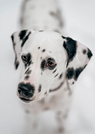 2023-01-23/e242f22352495b333fff1b1120c3ca0f_53738ff08a35eeecc47b8f0621fbf9af