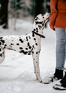 2023-01-23/f86382ee87a3f1f946cee759f24f42f5_b33588b30316bc55e7826db7670ea93b