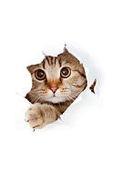 2023-01-24/0fb2d092cad2037afe98fad9404a9858_7aa677b6a683f88eae45cadbefca08c3