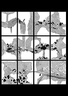 2023-01-25/28844461bddfe61dbe1b4c2a10664aa3_262fbbed88531192d0da9a81d912033a