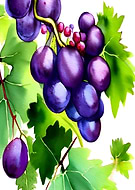 2023-01-25/51ca87151cad05607dd691faf90326ea_9e996f1809988a321fc9d2ac743ff5f1