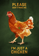 collection-preview-1