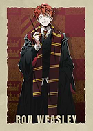 collection-preview-2