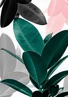 collection-preview-1