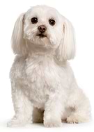 2023-02-04/324550095b353410178be3c1b2935d81_4934b6bb9ec50b2c641dcac1f9c84150