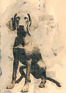 2023-02-05/399f20221269fe2b60b2565bb78e824c_2305f6612cdef53053168f0c9f07d7c2