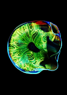 2023-02-05/4bbc209a8589c7045fb8e89a0fa1ac5c_18c83e5dd72373a050765d13867436fa