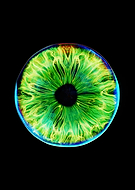 2023-02-05/a23356b742690a8133652baff4288483_a4b75bf6ad00b55f717eebe712ff910d