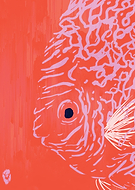 2023-02-06/00cadc49d9a3f8731cccc5220ee5765f_994b9123c72563d042ef0eb485fd0ecd