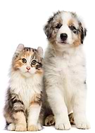 2023-02-06/59163bb0aa7675cf6a85335e64ec4bf5_2adf94bfcc2f8a20d8507872e9bc6918