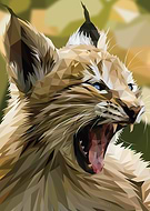 2023-02-06/d5ab8d47d91a117df5c172c873448eca_d593fc678fb0b58cf3a228a73b9c0206