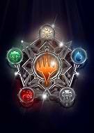 collection-preview-3