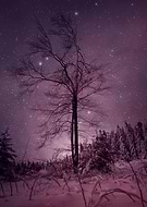 2023-02-10/e0870c1ac5963acede1dbe1f2668980b_0e901e753300138a556b1dfbe779bac4