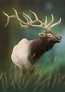 2023-02-14/e5aa4df668b80c15bd8d1dd29cf07f1e_5d02ca005a875d189aa2d2bb84d21ed9