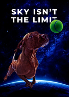 2023-02-15/a17851fdaf8ce24e0bd3e811ef33b4ca_5218717adef20c73f6bb63abe7eec080