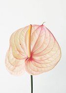 2023-02-17/df2e700db8574f30e17bc263d9629786_99426a31b40ac8c157be8fb04809d76b