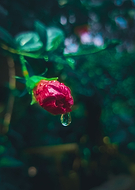 2023-02-17/e4be65f9937acede00e1f4d6cf307ff2_d23ef138b00c2d2a77a016e33c858b80