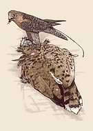 2023-02-18/01208b2162f2dc4ca807187e117c2713_0b141806d349fef01719468b606caadd