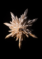 2023-02-18/3e6fe210cf1ba58874feda582e558705_1698b699ff44c05eef0454f764051c2c