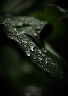 2023-02-20/caf15129f72426e2e5e288c16550d6b5_14763fa6ee5a56502a41efe2d7777025