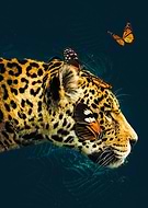 2023-02-22/b4d097a5b14727815f3528fc232aa262_446052e61662654e3b6e37d74ac72ae3