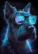 2023-03-01/7b9833657e9e50f377a95ec881ebe695_b5aa19d324c3532a65cc39a736c35212