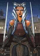 collection-preview-1