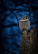 2023-03-02/7ffaa2112e4346c9183596acf8aa22b8_d743e0f6bdf0d9be9f5bad587fa508fd