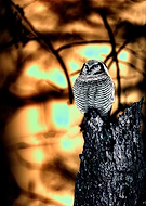 2023-03-02/a17d86c980323c9a6af7ef519af58728_20fcfffe0862299db2f9c0e0e9db2e2d